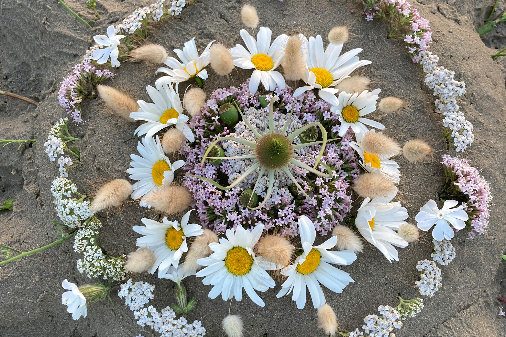 Bloemenweelde in het zand