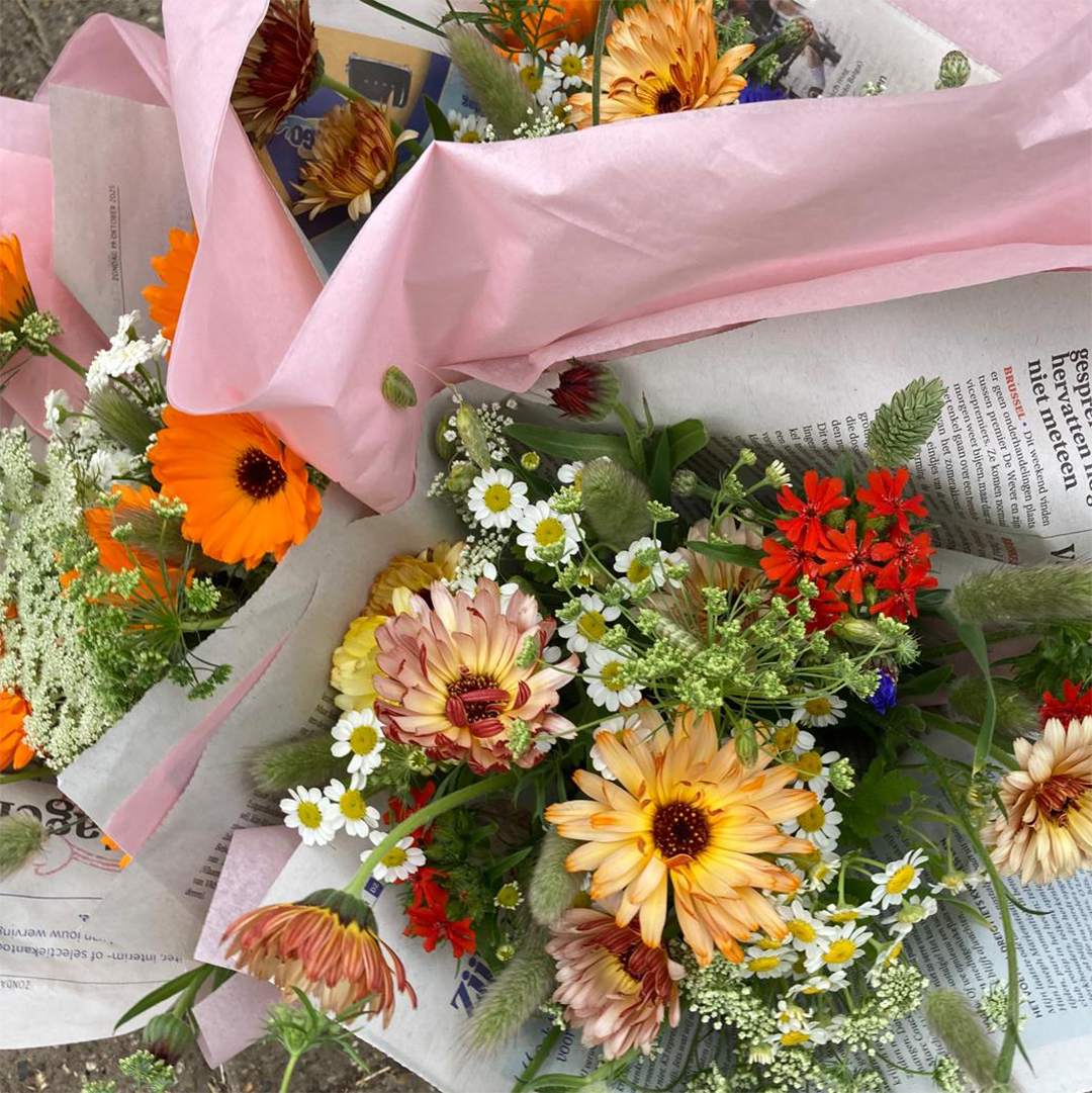 Kleurrijk veldboeket van Kronkelbloemen