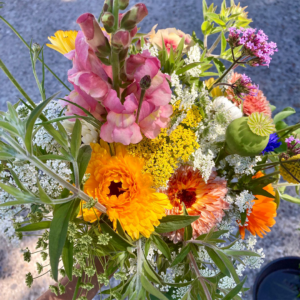 Kleurrijk veldboeket van Kronkelbloemen