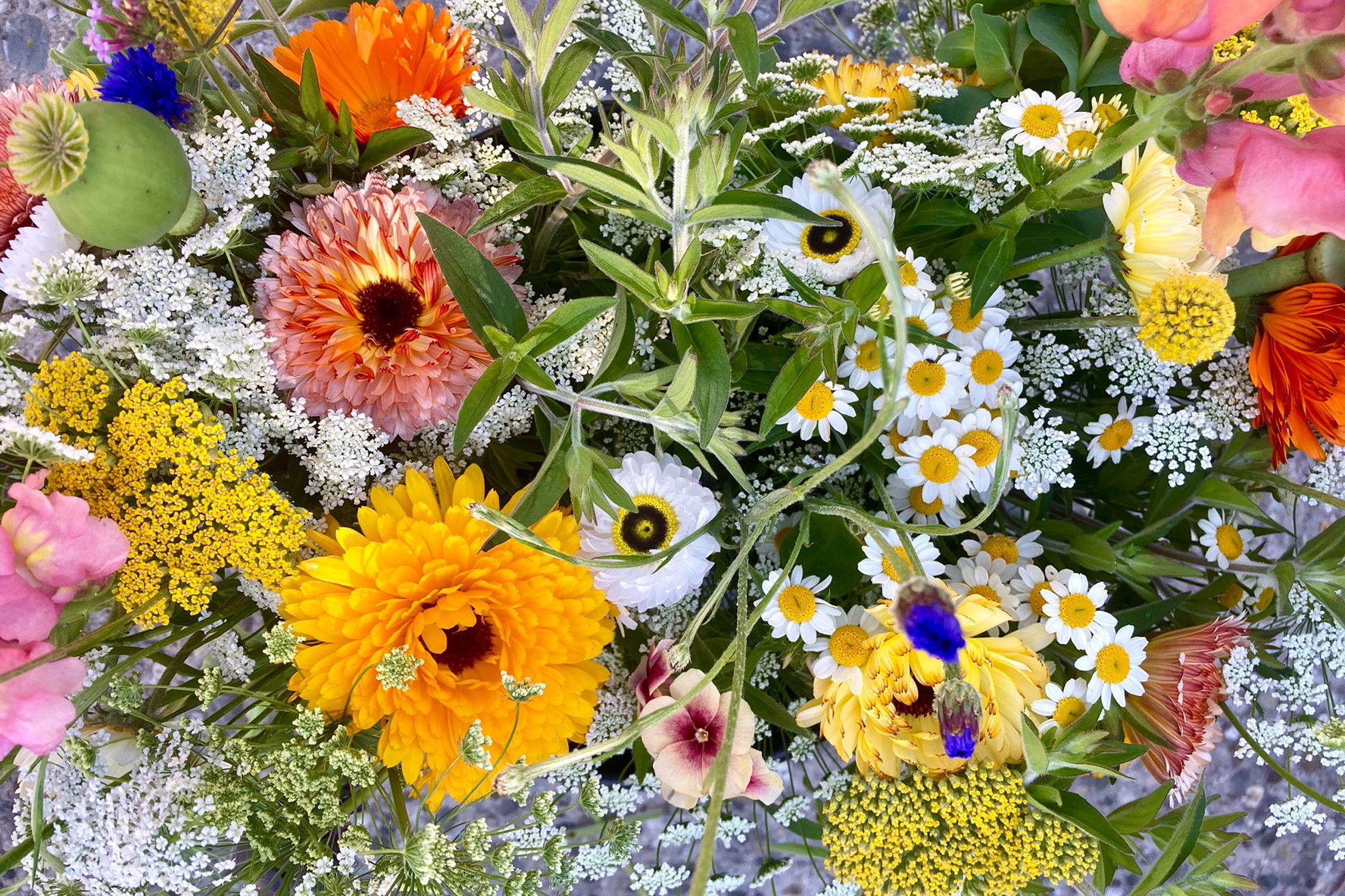 Bloemenweelde in het zand