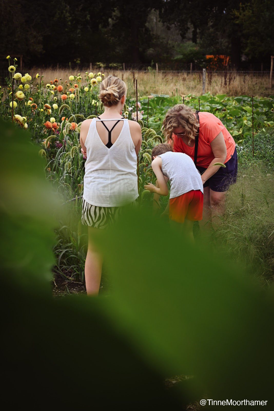 Deel Abonnement - Afbeelding 5